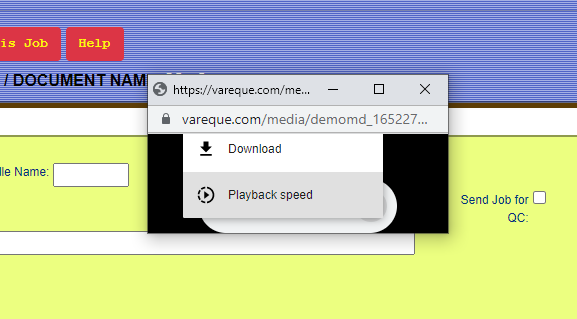 Audio player download menu